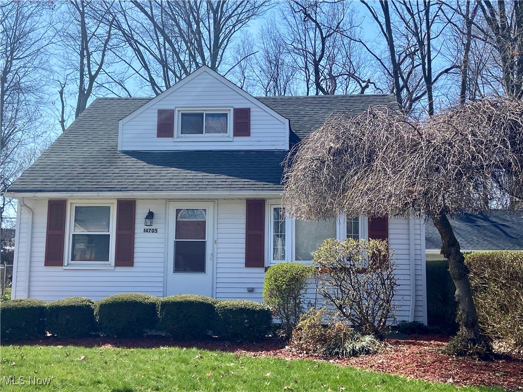14705 Grapeland Avenue, Cleveland, Ohio image 1