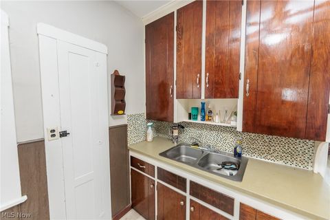 Tiny photo for 4318 Bucyrus Avenue, Cleveland, OH 44109 (MLS # 5209512)