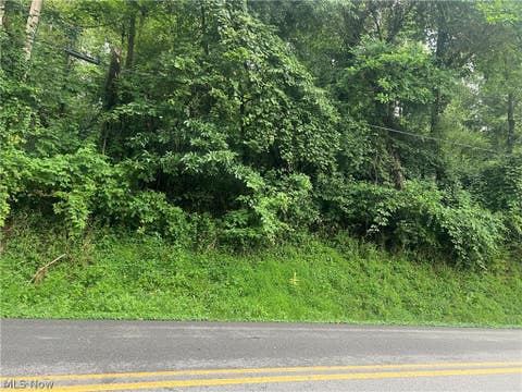 Vacant Land For Sale - Country Club Road<br/> Cadiz, OH 43907
