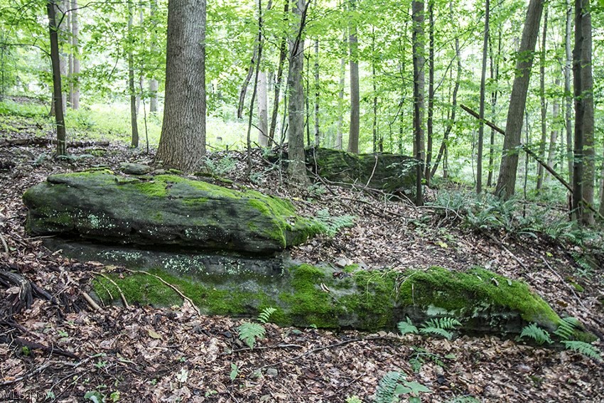 United States Military Lands - Land