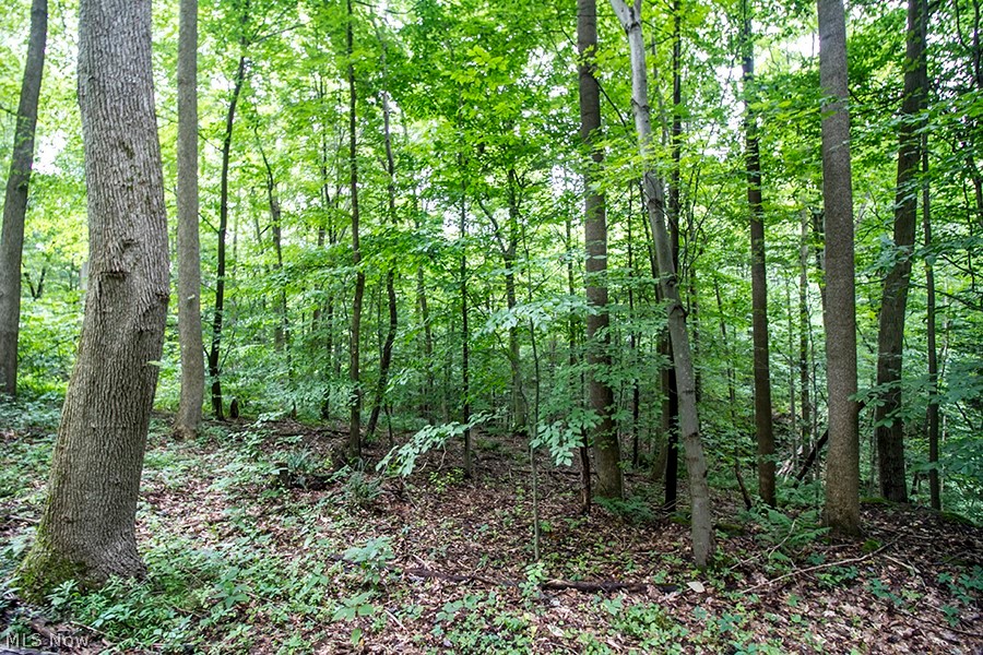 United States Military Lands - Land