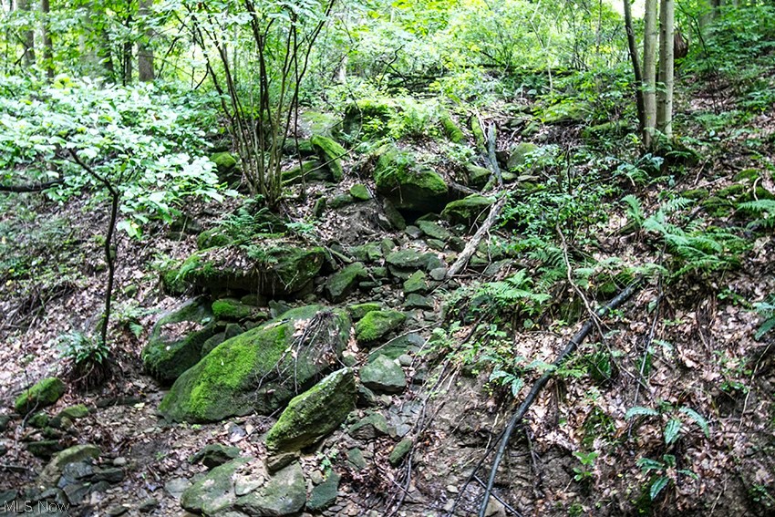 United States Military Lands - Land