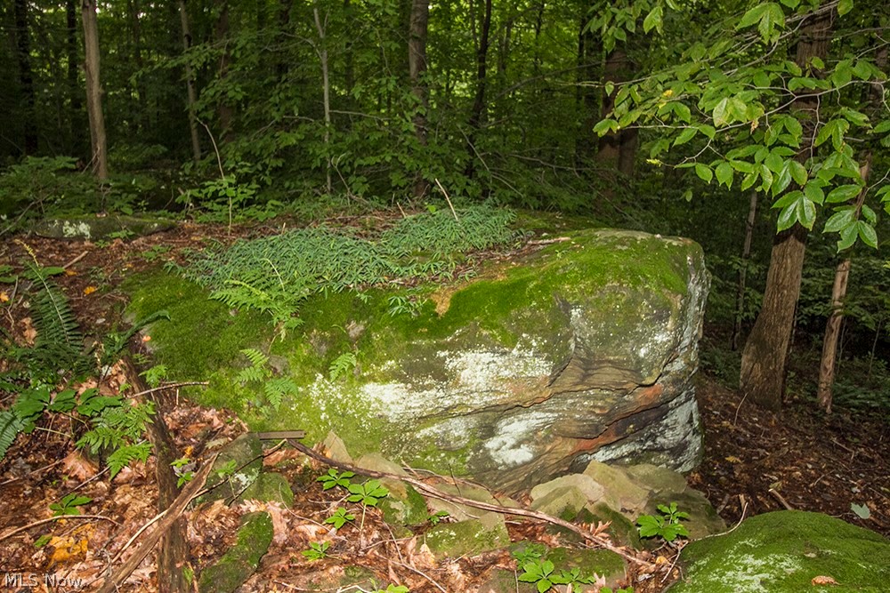 United States Military Lands - Land