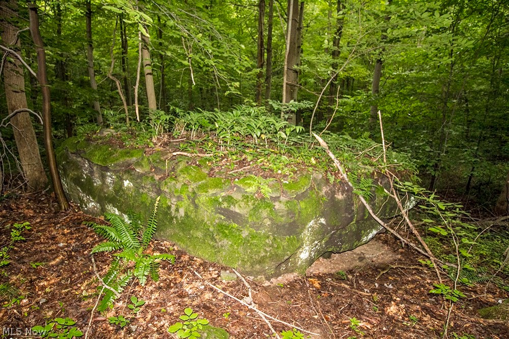 United States Military Lands - Land