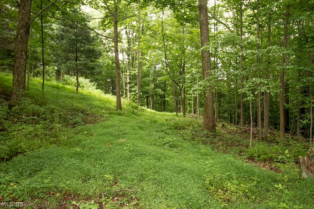 United States Military Lands - Land