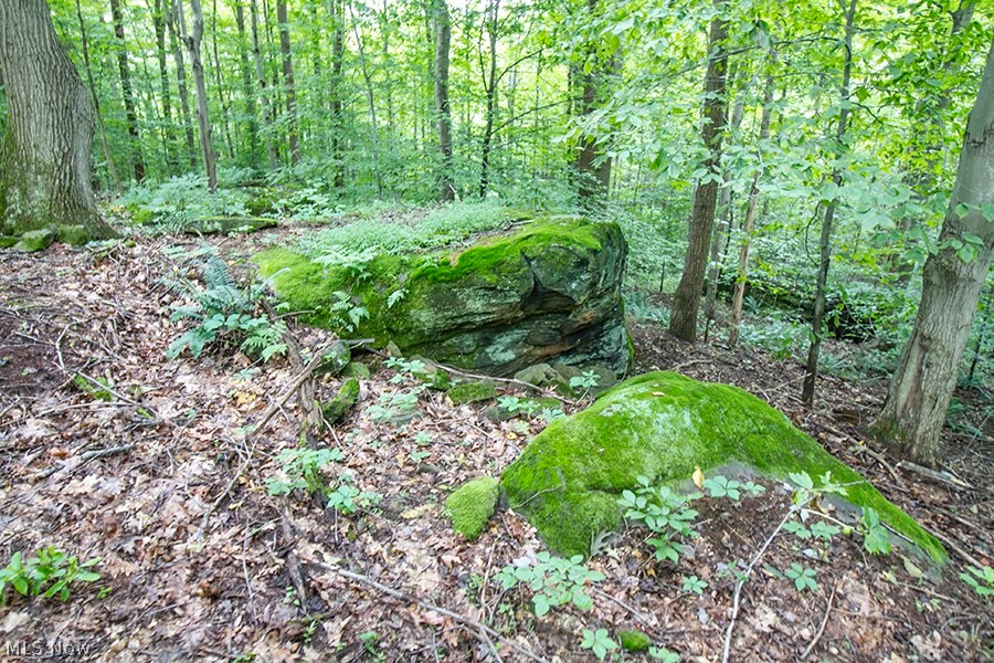 United States Military Lands - Land