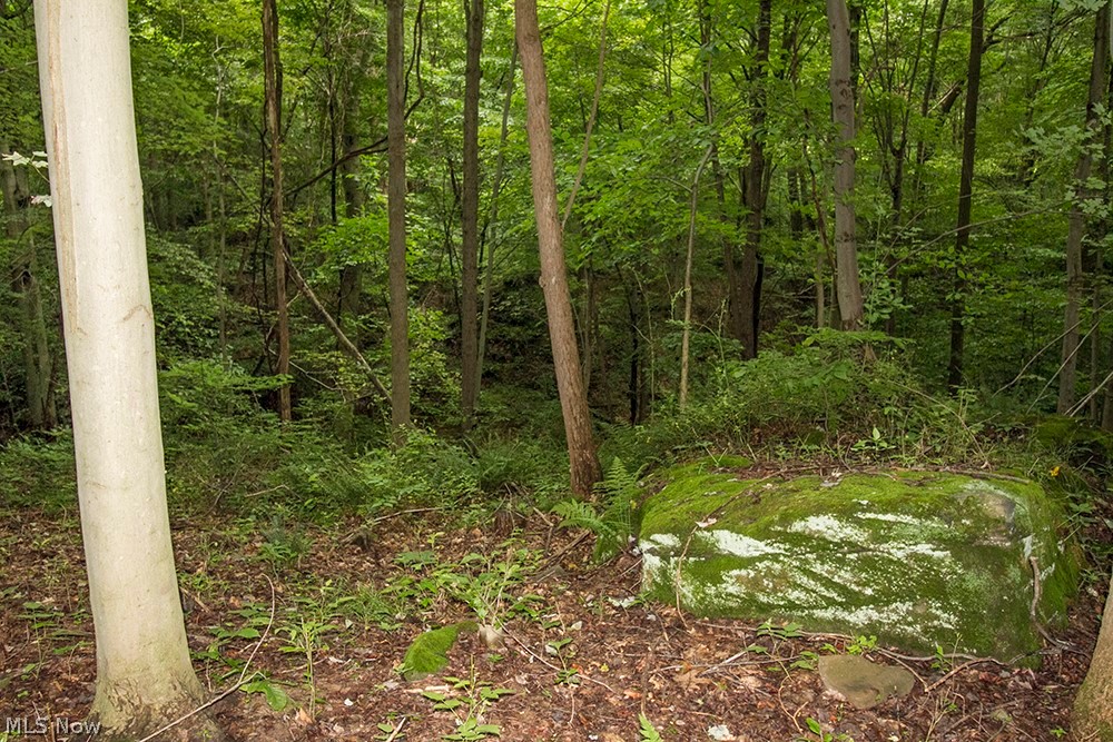 United States Military Lands - Land
