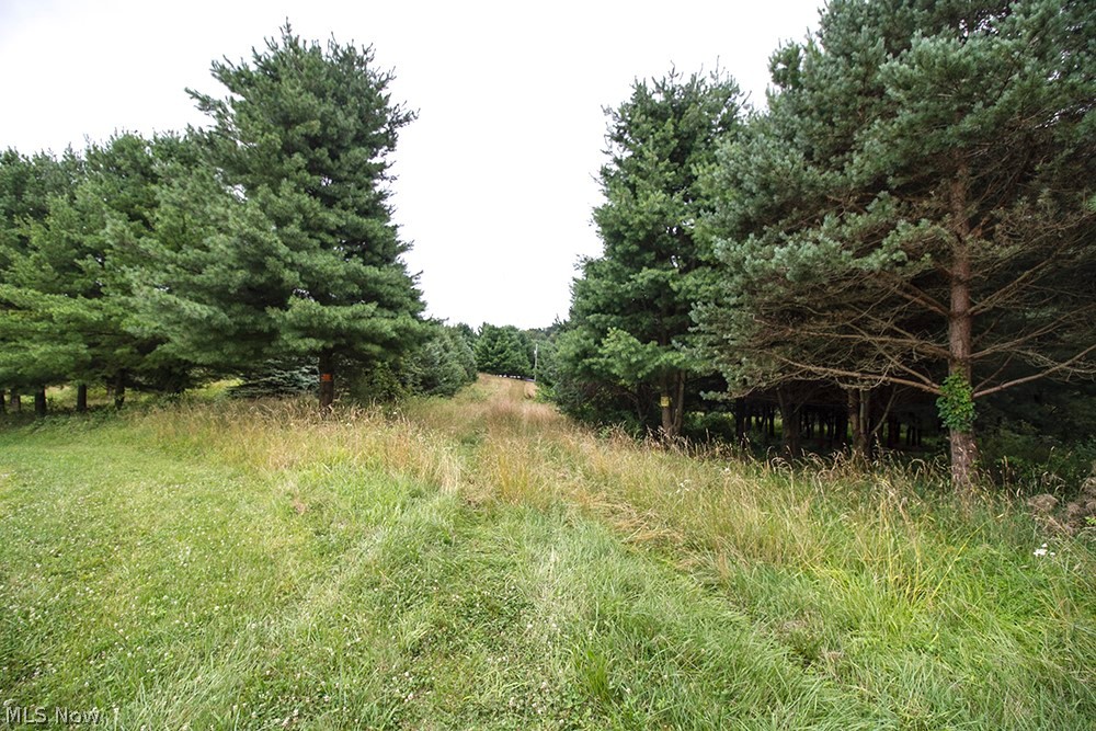 United States Military Lands - Land