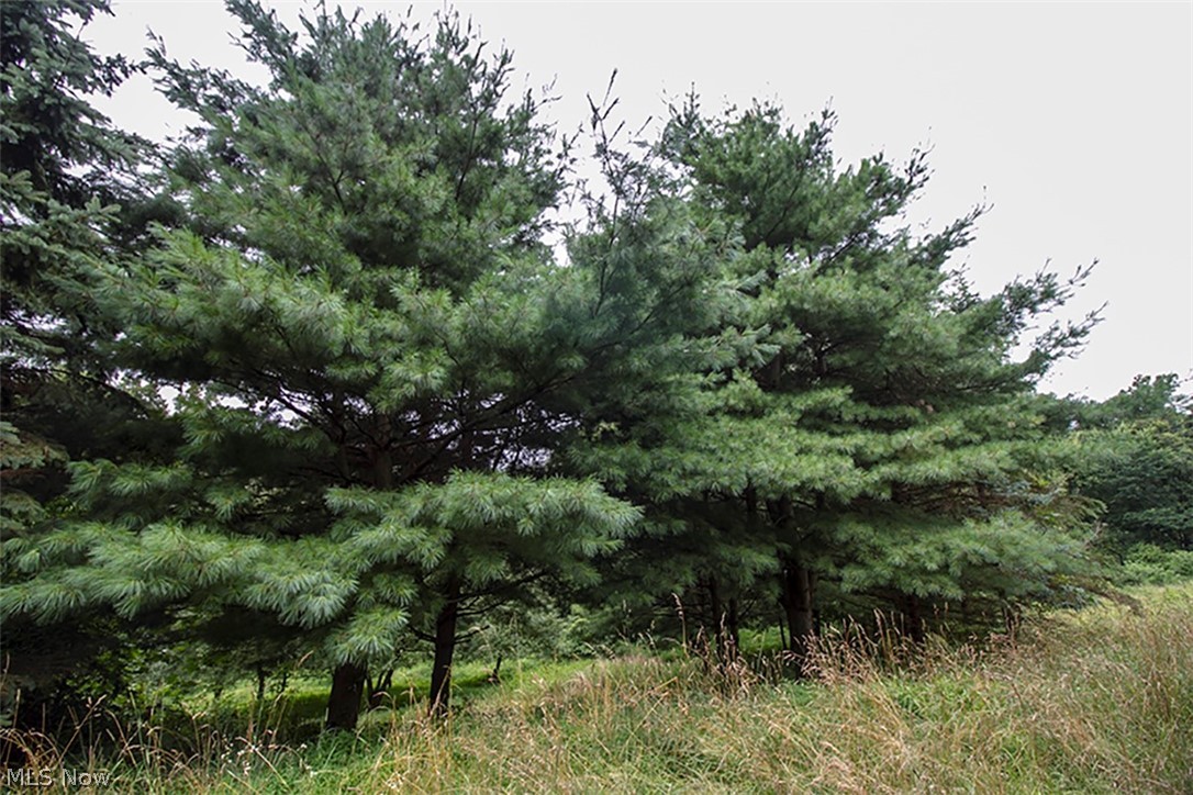 United States Military Lands - Land