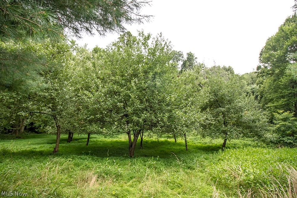 United States Military Lands - Land