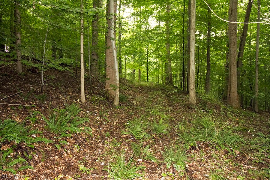 United States Military Lands - Land