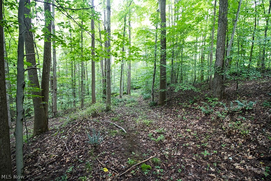 United States Military Lands - Land