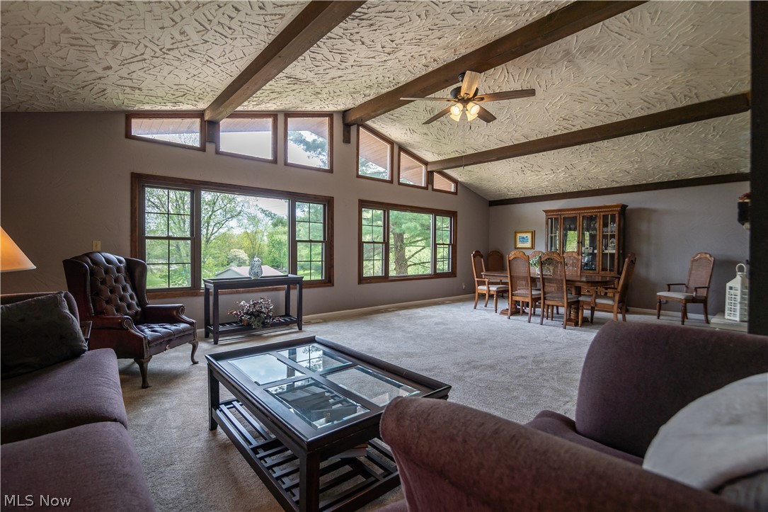 Alpine Village - Residential