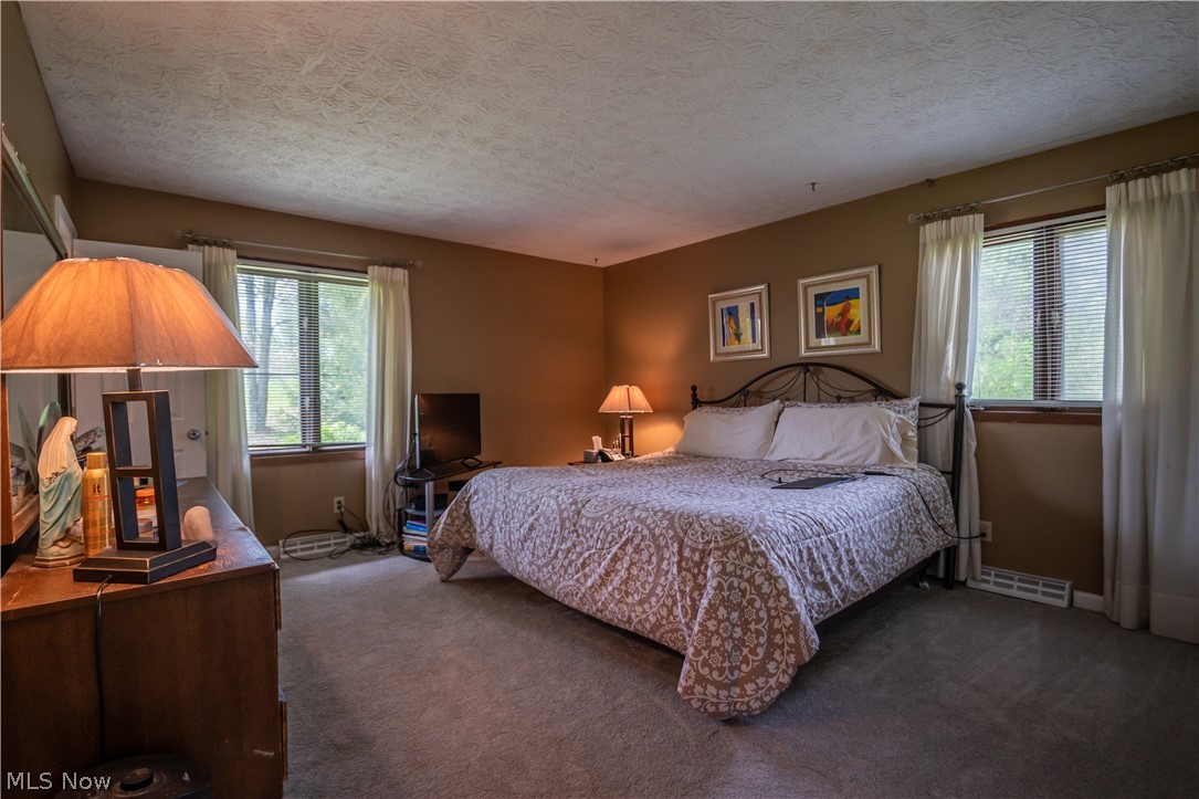 Alpine Village - Residential