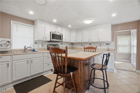 Tiny photo for 850 Clay Road, Jefferson, OH 44047 (MLS # 5202709)