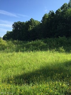 Royal Meadows Sub - Land