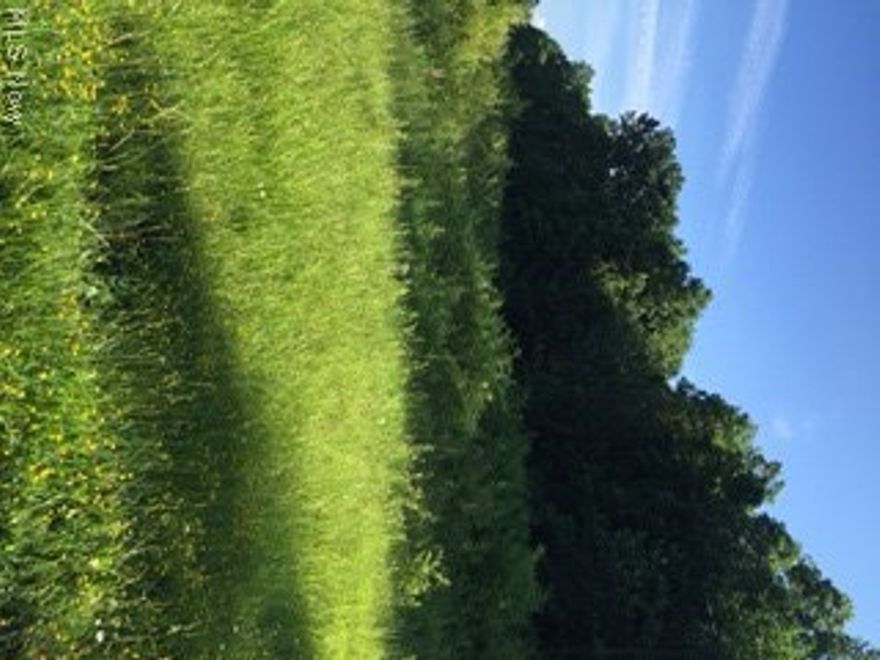 2.7 Acre Private Lot in Prestigious Royal Meadows. Site & Soil test approved for building. Top school system in the county and close to metro park systems. Don't miss this chance. Priced to sell.