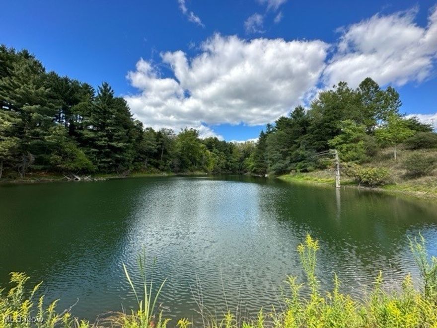This spectacular 48+ acre property is stunning! Enjoy your own private lake. The property is perfect for relaxation, hunting or just a great get-a-way. There are no Mineral Rights available. THIS IS A MUST SEE PROPERTY!!!