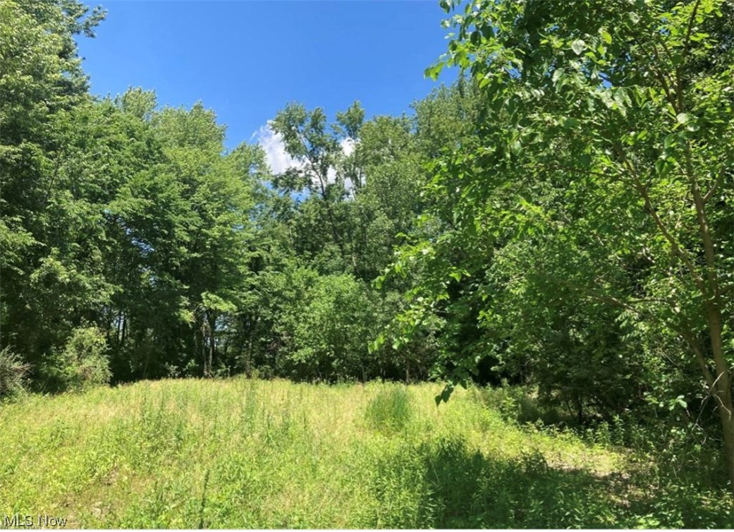 Lovely vacant 2 acre lot up for grab in Canton South! Easy access to 30 and 77 for your convenience! Owner has had the property staked, has cleared some of the dead and dying brush/trees, as well has the space for a septic system marked. Don't miss out, call today!