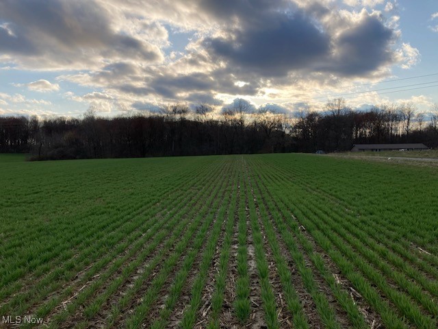VL New Milford Road, Rootstown, Ohio image 10