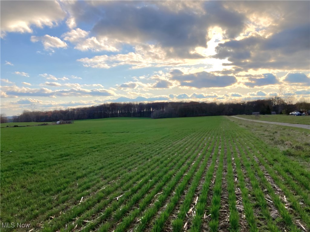 VL New Milford Road, Rootstown, Ohio image 9