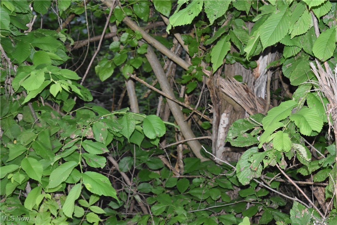 Riggs Road, Bellaire, Ohio image 4
