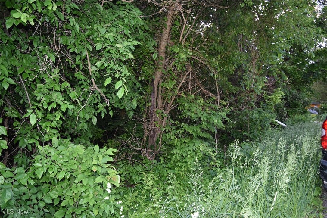 Riggs Road, Bellaire, Ohio image 2