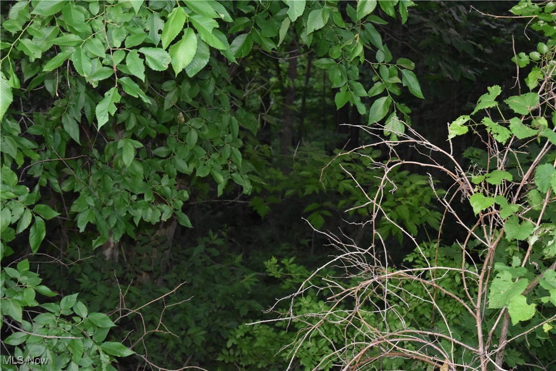Riggs Road, Bellaire, Ohio image 3
