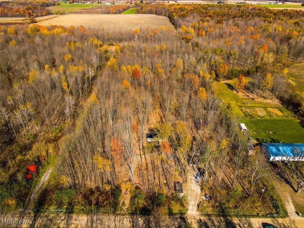 3737 Netcher Road, Jefferson, Ohio image 9