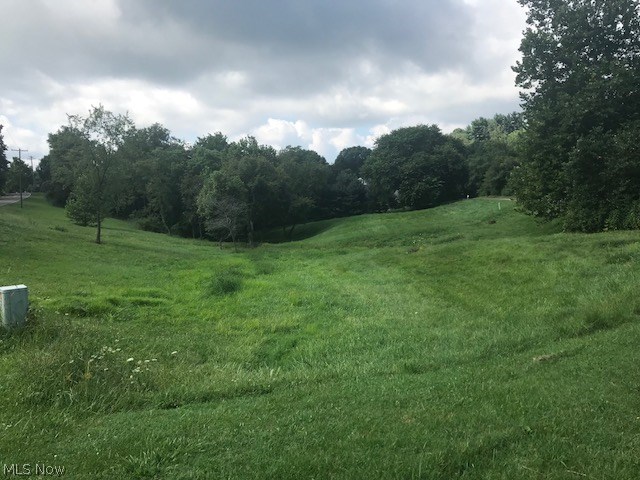 Pine Mdws Ph I - Land