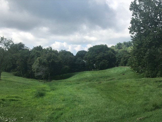 Pine Mdws Ph I - Land