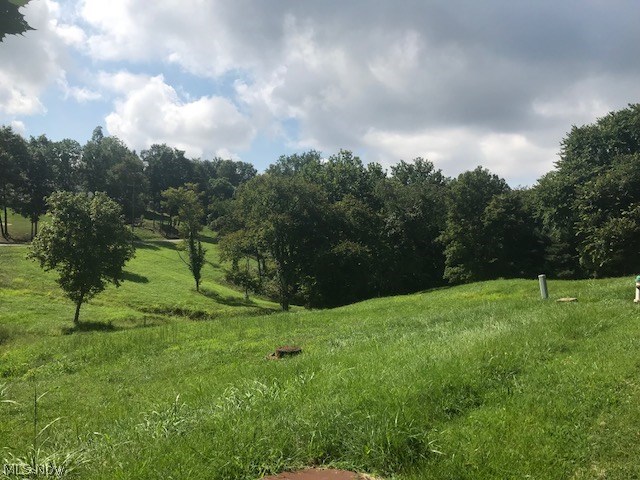 Pine Mdws Ph I - Land