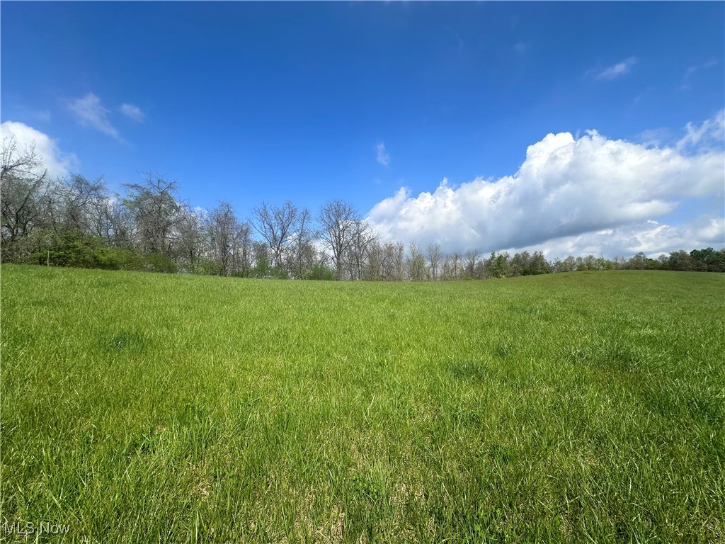 S State Route 555 #69.592 ACRES, Chesterhill, Ohio image 2