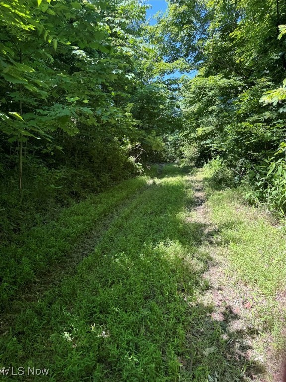 S State Route 555 #69.592 ACRES, Chesterhill, Ohio image 19