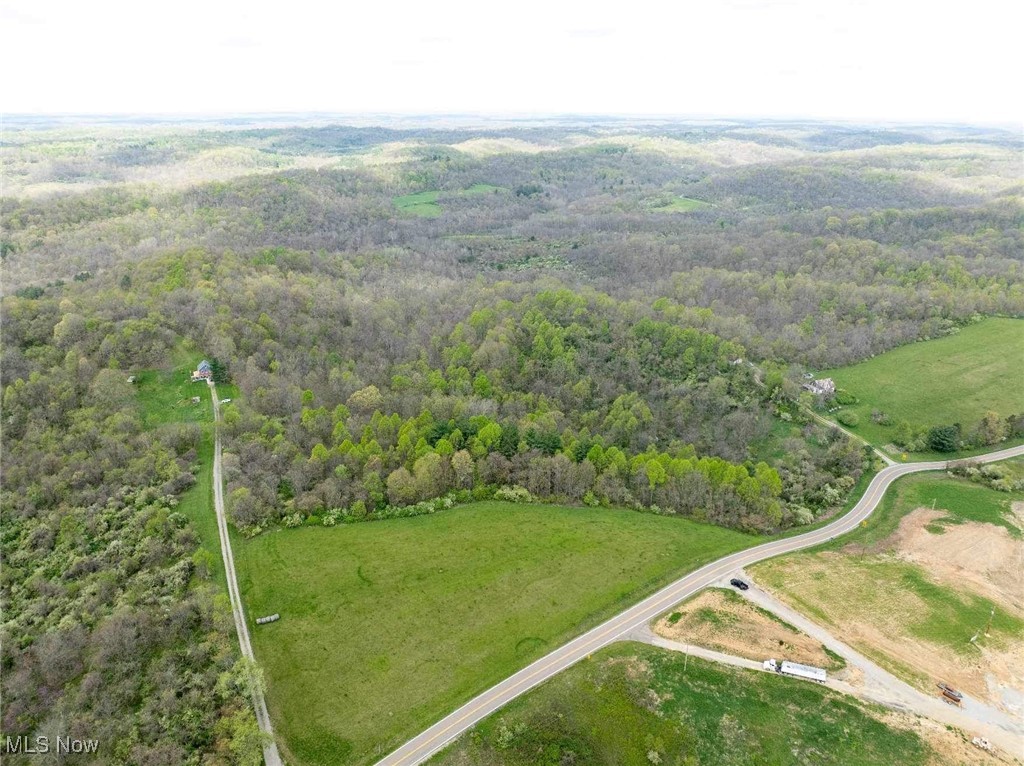 S State Route 555 #69.592 ACRES, Chesterhill, Ohio image 8