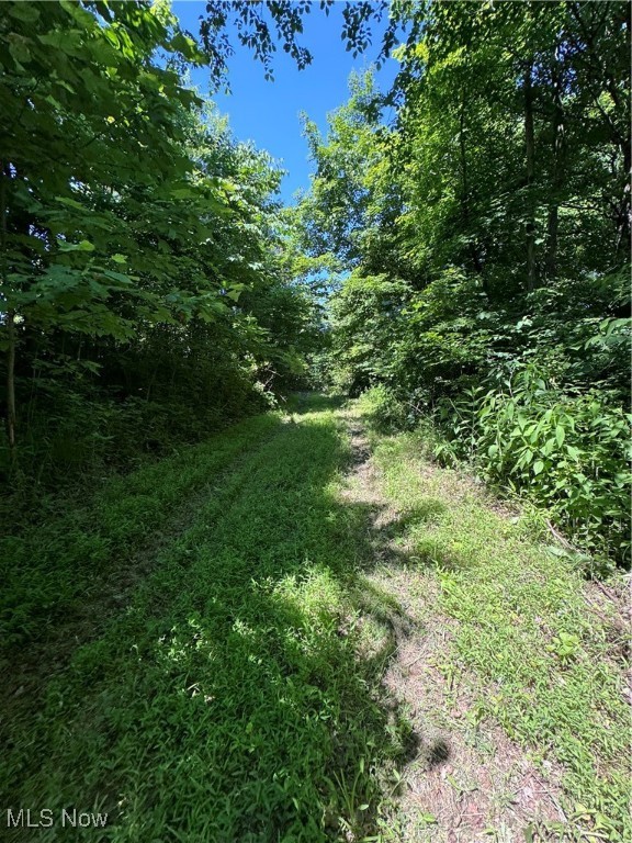 S State Route 555 #69.592 ACRES, Chesterhill, Ohio image 1