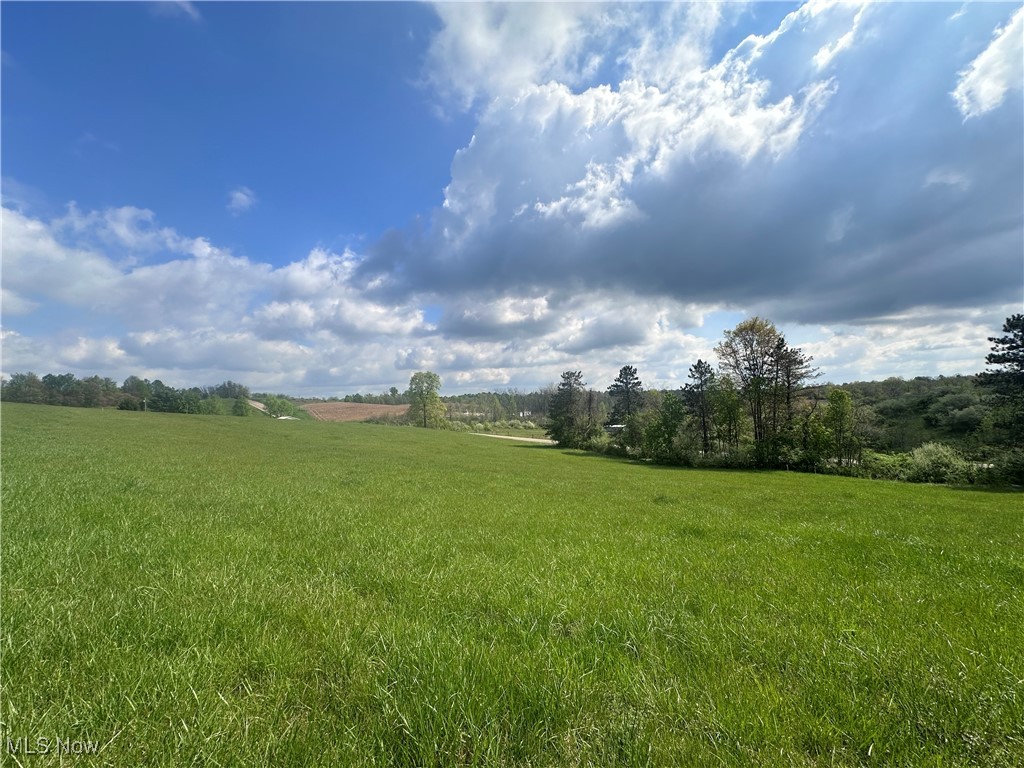 S State Route 555 #69.592 ACRES, Chesterhill, Ohio image 15