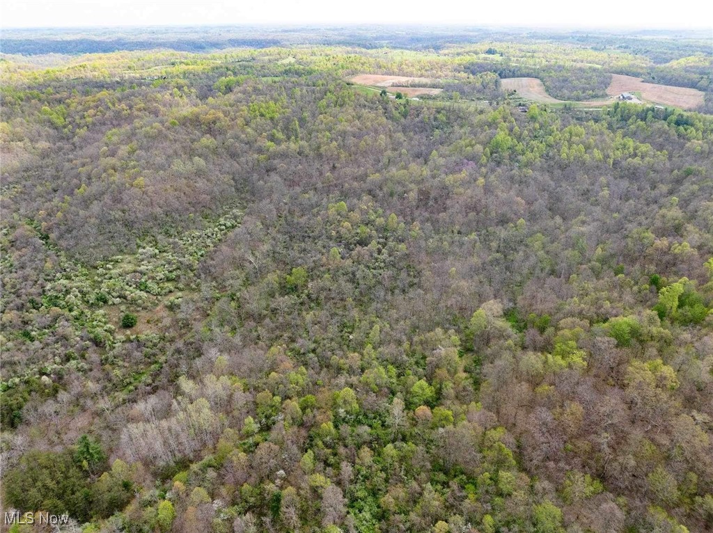 S State Route 555 #69.592 ACRES, Chesterhill, Ohio image 6