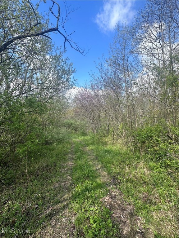 S State Route 555 #69.592 ACRES, Chesterhill, Ohio image 12