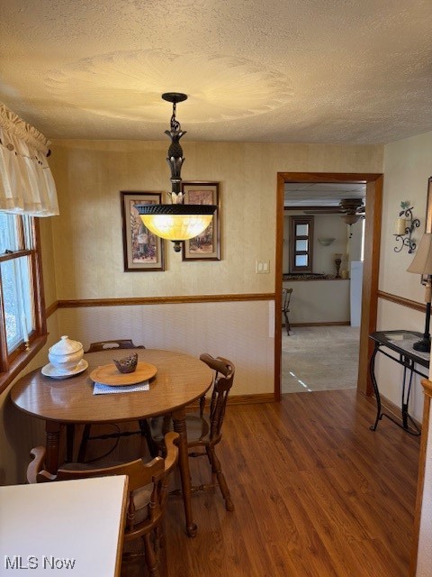 Fruitland Park - Residential