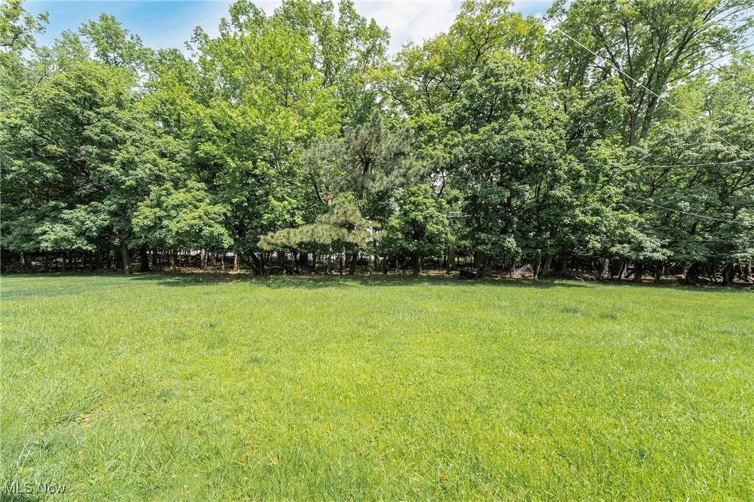 3573 Severn Road, Cleveland Heights, Ohio image 5