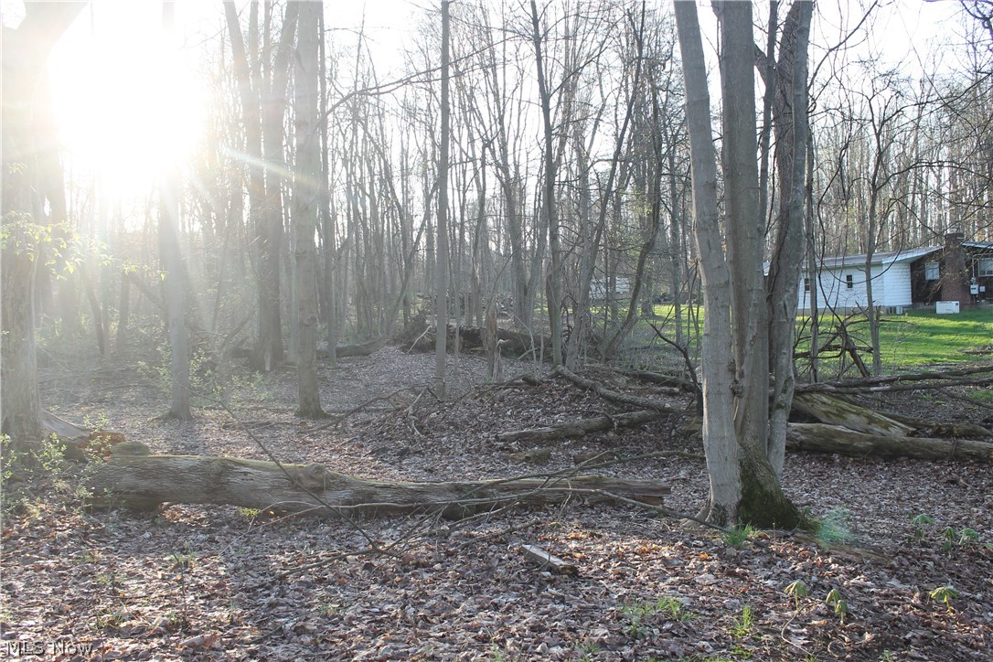 Mantua - Residential