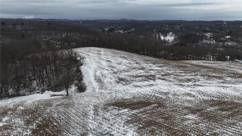 Vacant Land For Sale - Calcutta Smithferry Road<br/> Columbiana County, East Liverpool, OH 43920