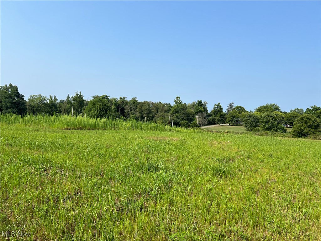 Barberry Hill, Mentor, Ohio image 4