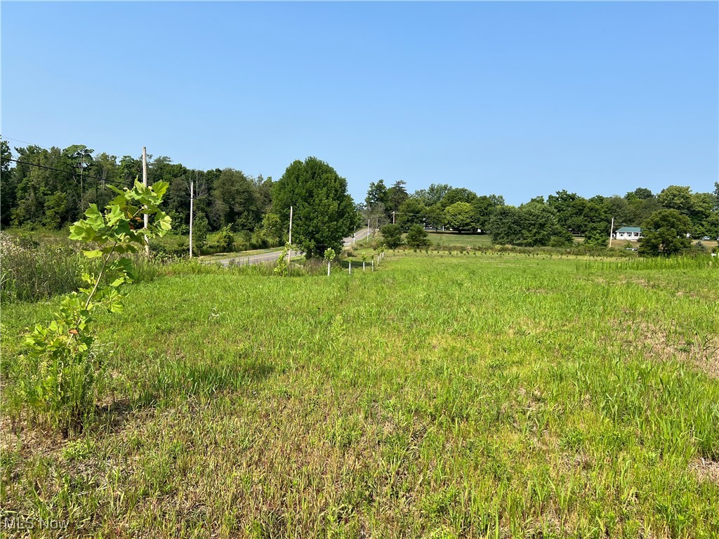 Barberry Hill, Mentor, Ohio image 3