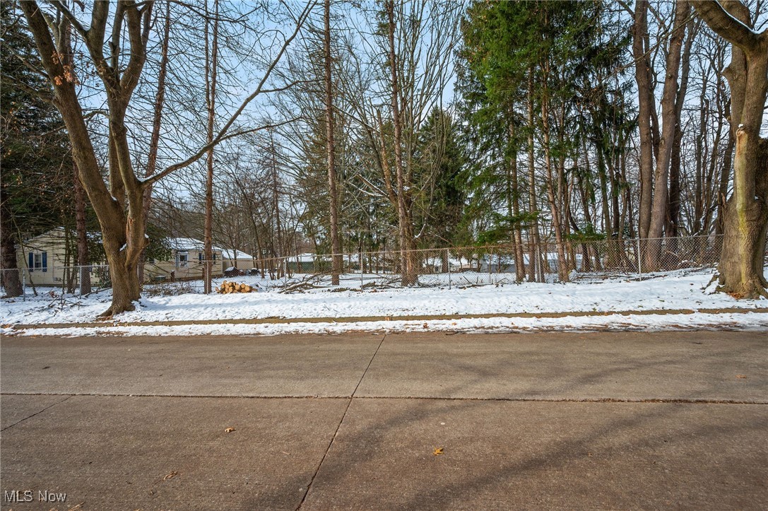 Tallmadge Road - Land