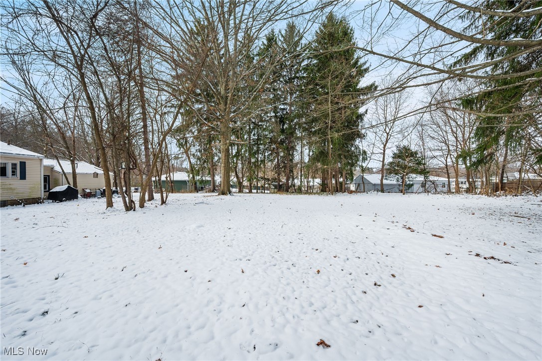 Tallmadge Road - Land