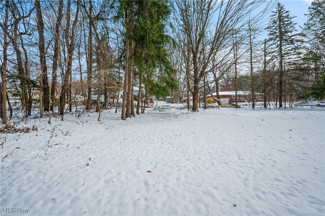 Tallmadge Road - Land