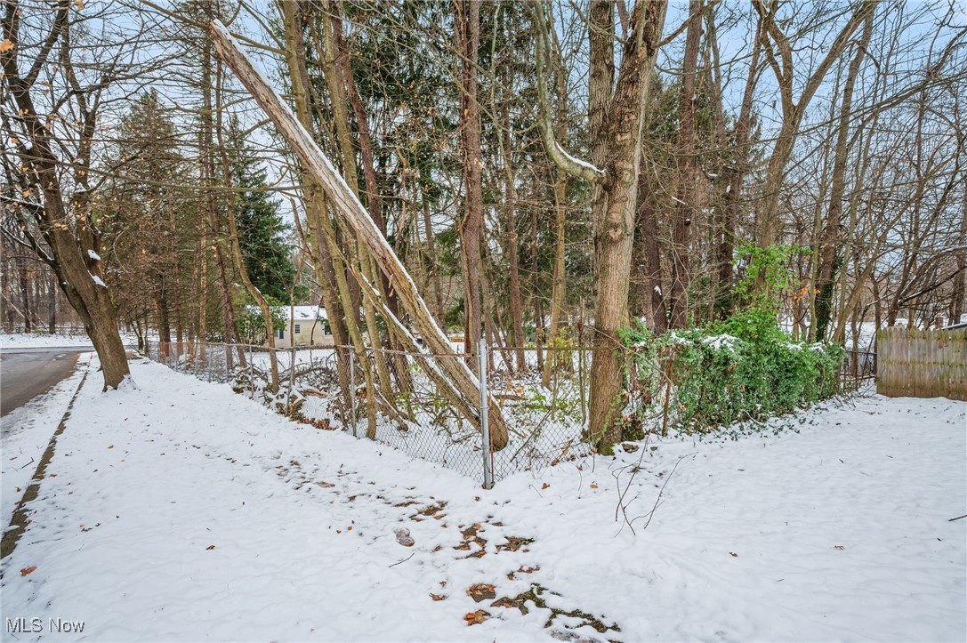 Tallmadge Road - Land