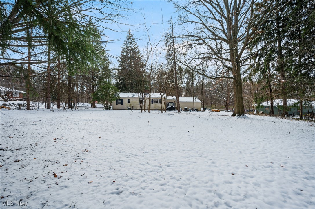 Tallmadge Road - Land